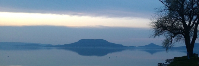 A teljes Badacsony-hegy zárlat alá kerül a szőlő aranyszínű sárgaság betegség miatt