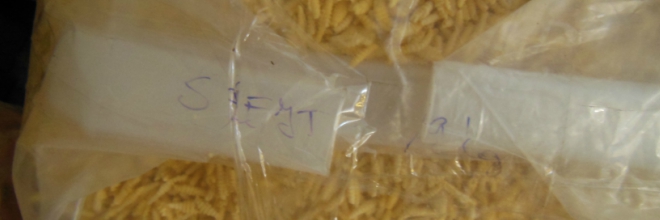 Illegális boltban árulták a lejárt chipseket