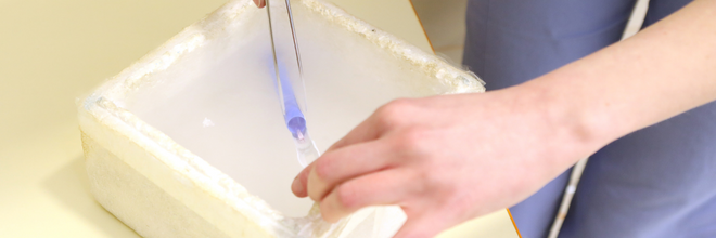 Változás az állati szaporítóanyag-forgalmazás szabályozásában