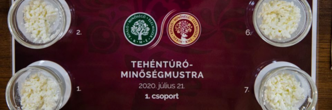 Út az arany fokozatig, avagy így zajlott a tehéntúró Termékmustra