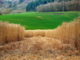 Biomassza-termelők tápanyag-gazdálkodási terv készítési kötelezettségével összefüggő új jogszabályi előírások