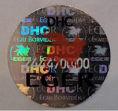 DHC Eger hologram