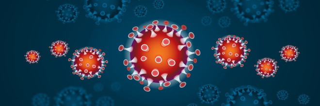 Nébih közreműködés a koronavírus terjedésének megakadályozásában
