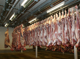 Tanácsok vágóhídi és húsipari létesítmények üzemeltetőinek koronavírus járvány idején