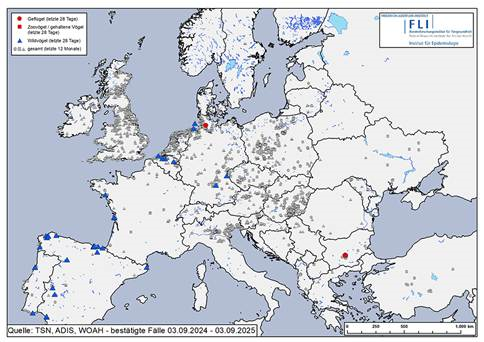 európai madárinfluenza térkép 2024
