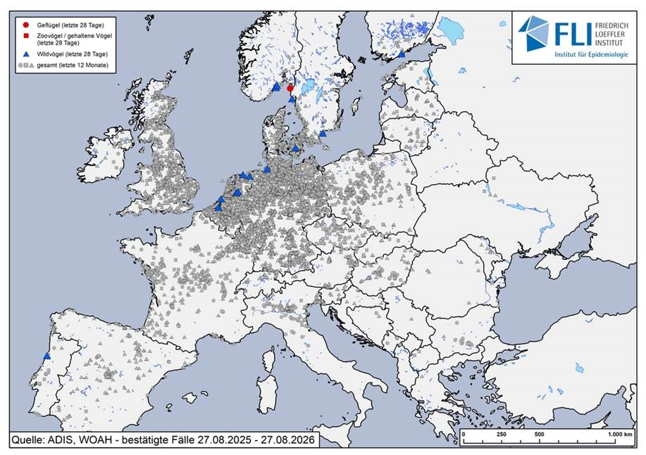 európai madárinfluenza térkép 2025