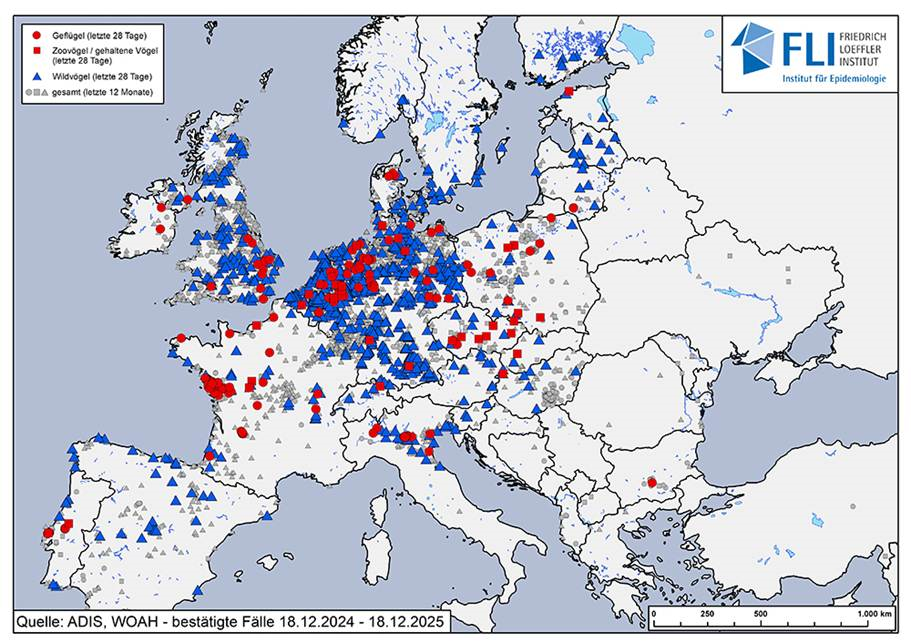 Európai madárinfluenza térkép