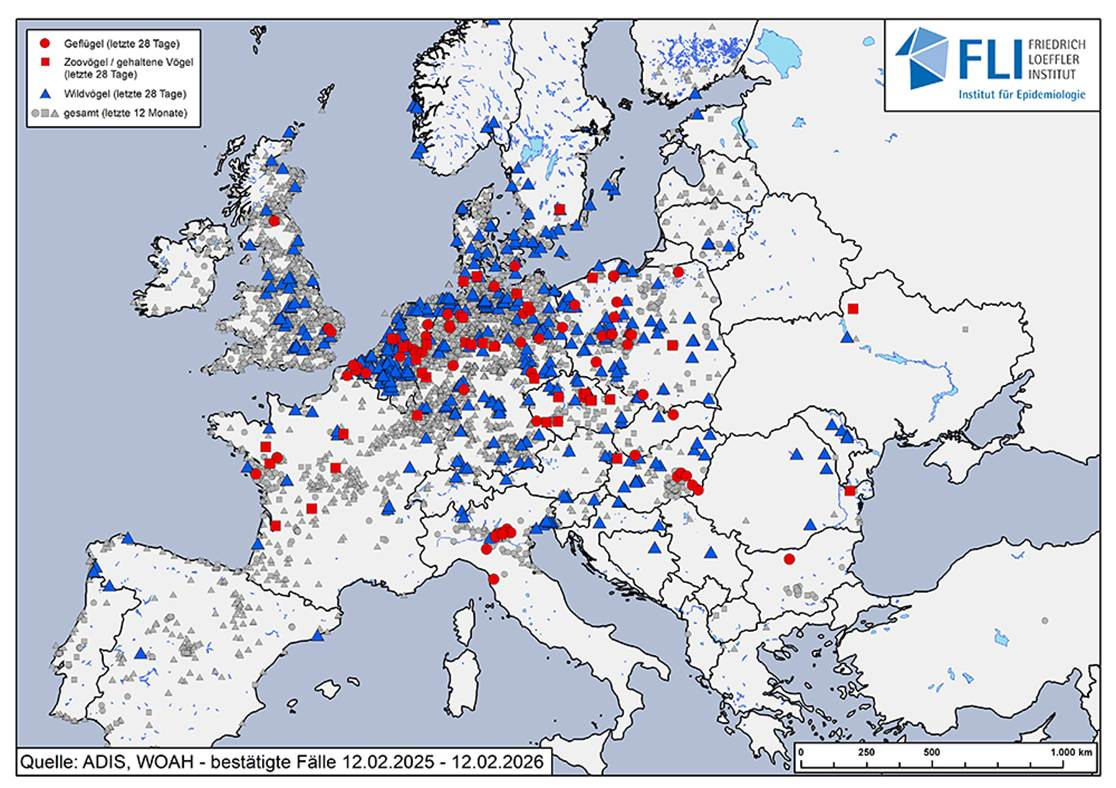Európai madárinfluenza térkép
