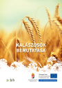 Parancsikon