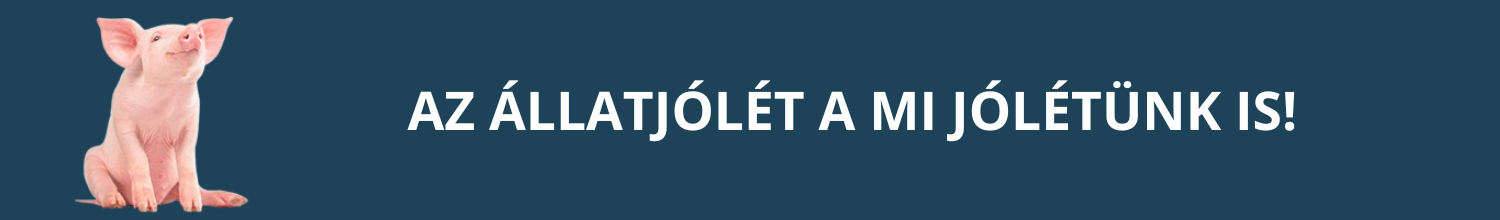 ülő malac - az állatjólét a mi jólétünk is