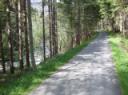 Parancsikon