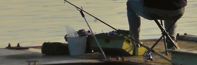 Horgászvizsgára való felkészülést segítő tankönyv és a horgászvizsgáztatás részletes szabályzata