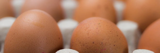 Újabb fipronillal szennyezett tojást talált a NÉBIH