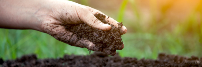 Megváltozik a talajvédelmi szakértőket érintő továbbképzési struktúra