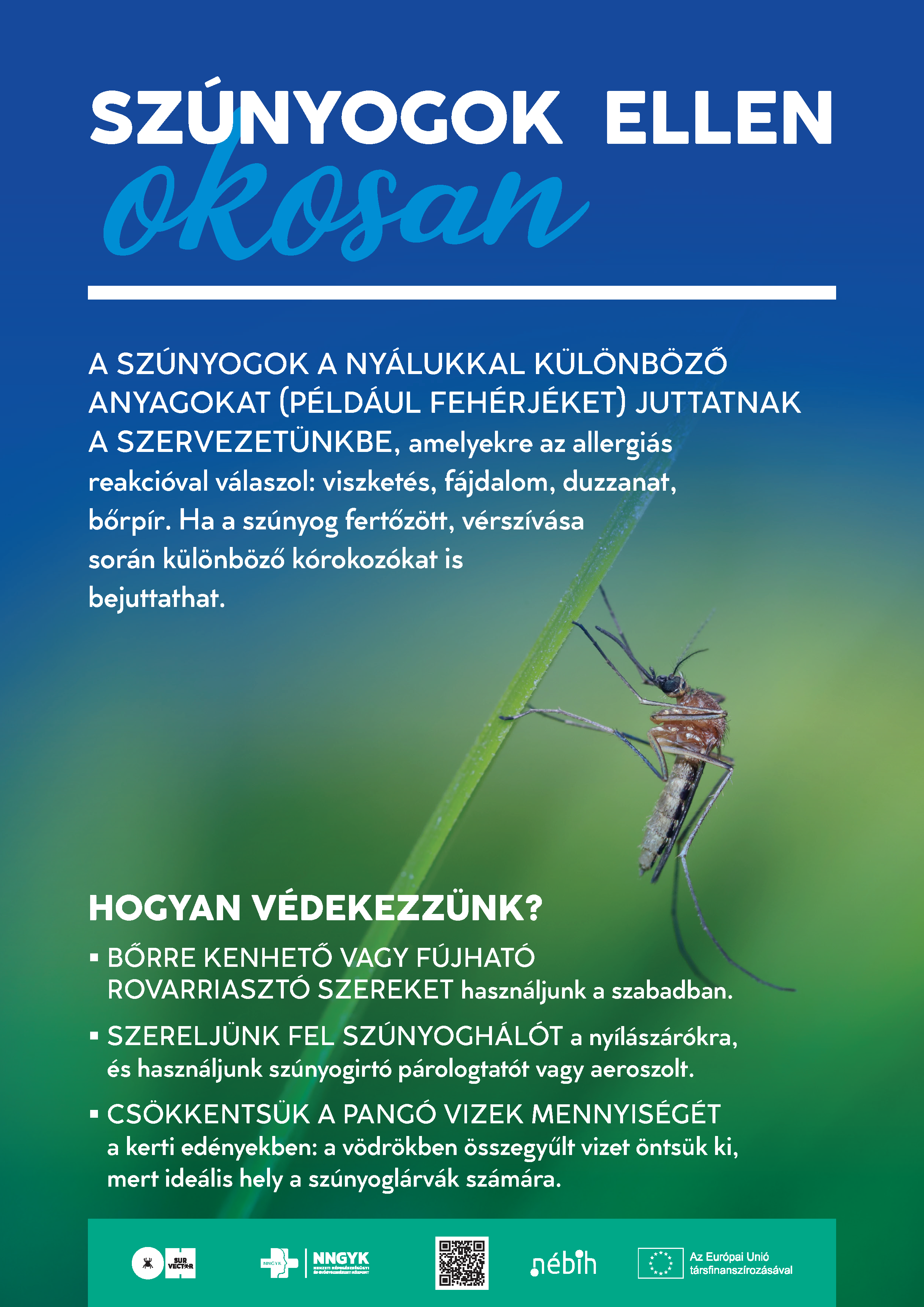 szúnyog