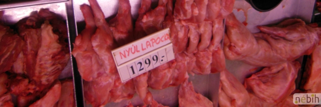 Több mint 60 kg ismeretlen eredetű nyúlhúst foglalt le a NÉBIH