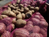 24 tonna jelöletlen burgonyát foglalt a NÉBIH