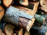 A faanyag-kereskedelemben is fontos a nyomon követhetőség