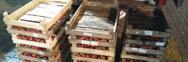 Csaknem 4 tonna zöldség és gyümölcs értékesítését tiltotta meg a NÉBIH az őstermelők kiemelt ellenőrzésekor