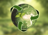 Fenntartható növényvédelem: növényvédőszer-felhasználási tendenciák és prioritások
