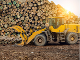 Helyzetjelentést készített a Nébih az illegális fakitermelésekről és kereskedelemről