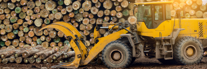 Helyzetjelentés az illegális fakitermelésekről és kereskedelemről