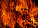 Általános tűzgyújtási tilalmat rendelt el a földművelésügyi miniszter