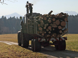 Javult a helyzet Zala megyében a faanyagkereskedelem terén