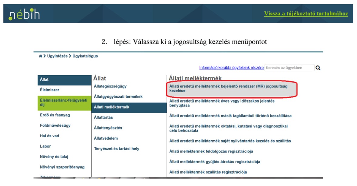 Mellektermek gyik 13