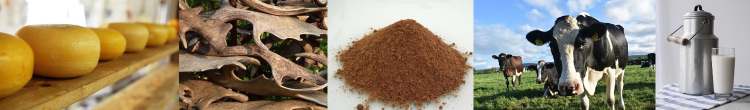 agancs, szarvasmarha, tej, halliszt