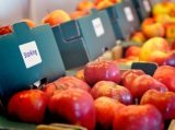 A minőségi hazai alma vásárlására buzdítanak az áruházláncokban