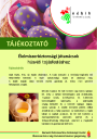Parancsikon