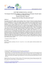 Parancsikon