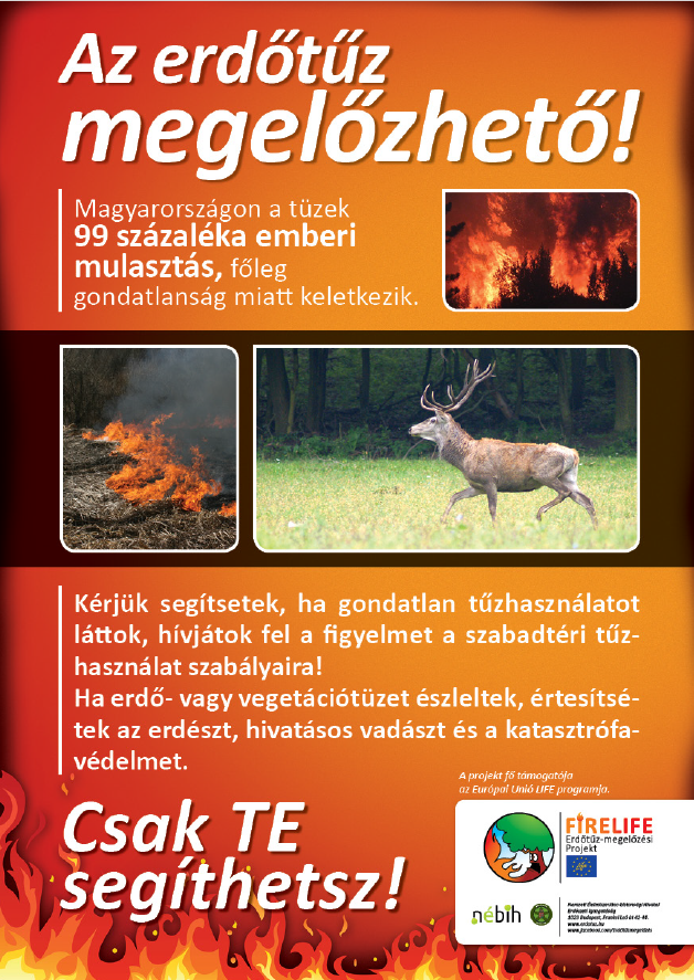 Az erdőtűz megelőzhető - szarvasos