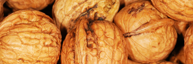 Walnut